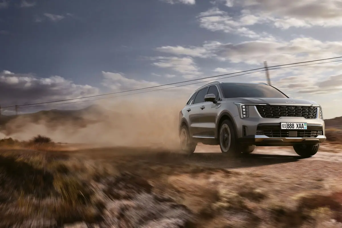 Адаптация к локальным условиям